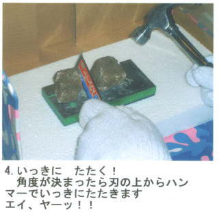 �菇�S